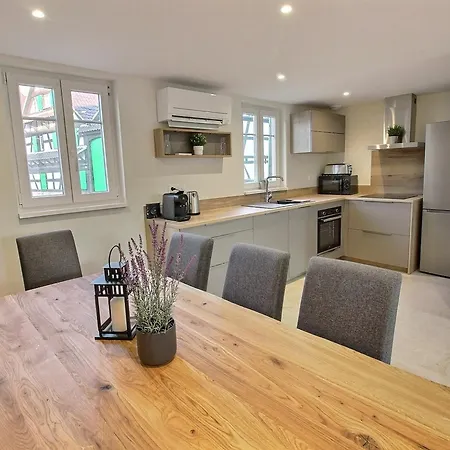 Maison Renovee Avec 3 Chambres, Terrasse Et Parking, A 17 Min De Strasbourg - Fr-1-722-5 Geispolsheim Exterior photo